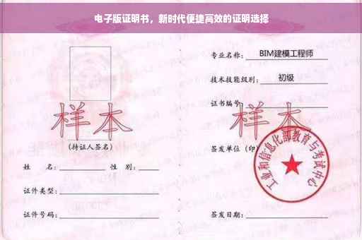 电子版证明书，新时代便捷高效的证明选择