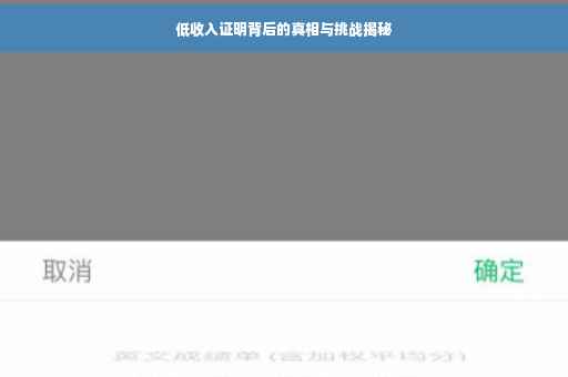 低收入证明背后的真相与挑战揭秘