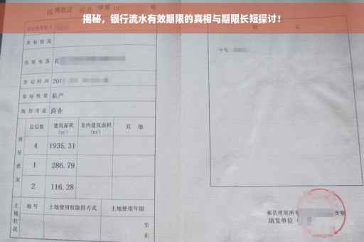 揭秘，银行流水有效期限的真相与期限长短探讨！