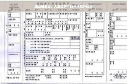 毕业证遗失，人生挫折中的一次意外经历