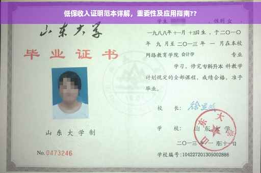 低保收入证明范本详解，重要性及应用指南??