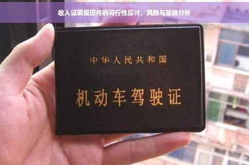 收入证明复印件的可行性探讨，风险与策略分析