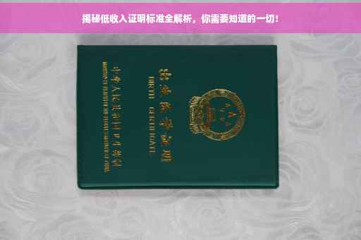 揭秘低收入证明标准全解析，你需要知道的一切！