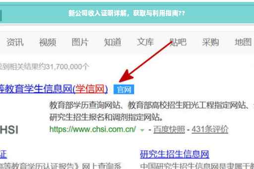 新公司收入证明详解，获取与利用指南??