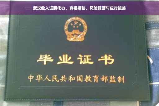武汉收入证明代办，真相揭秘、风险预警与应对策略