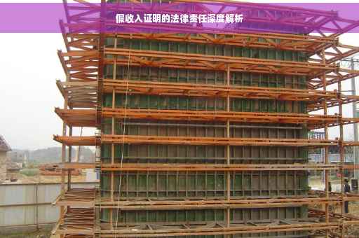 假收入证明的法律责任深度解析