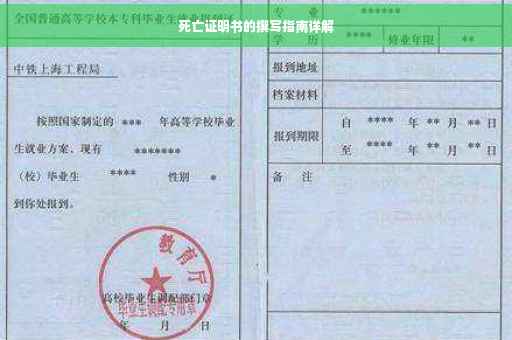 死亡证明书的撰写指南详解