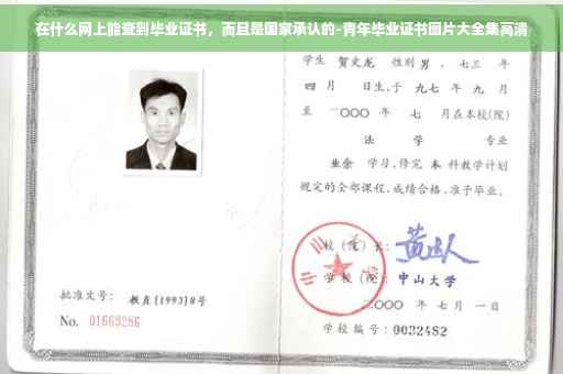 在什么网上能查到毕业证书，而且是国家承认的-青年毕业证书图片大全集高清