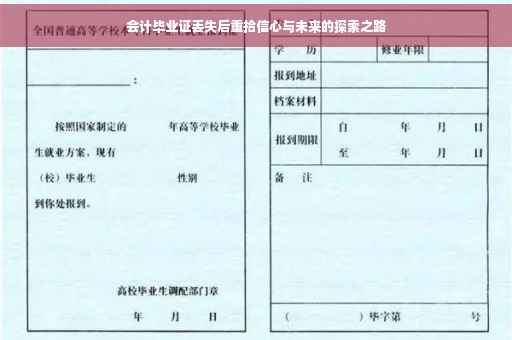 会计毕业证丢失后重拾信心与未来的探索之路