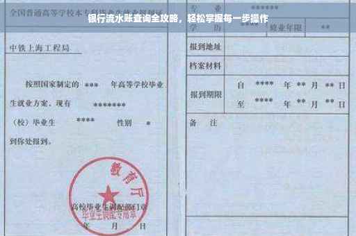 银行流水账查询全攻略，轻松掌握每一步操作