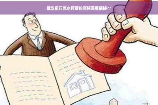 武汉银行流水背后的真相深度揭秘??