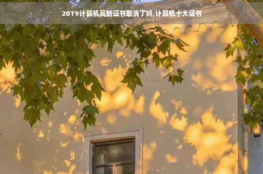 2019计算机高新证书取消了吗,计算机十大证书