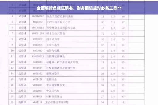 全面解读负债证明书，财务困境应对必备工具??