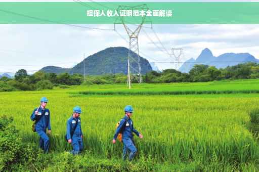 担保人收入证明范本全面解读