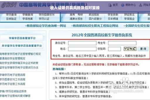 收入证明开具风险及应对策略