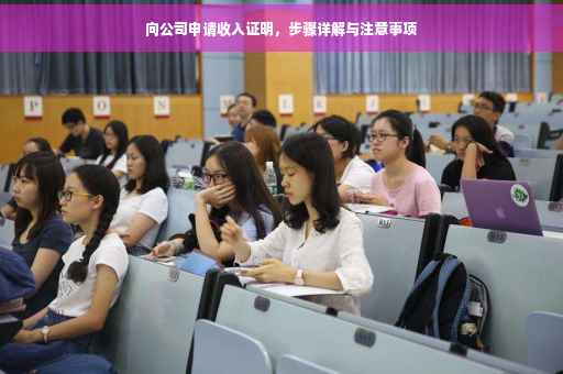 向公司申请收入证明,步骤详解与注意事项 向公司申请收入证明,步骤详解与注意事项