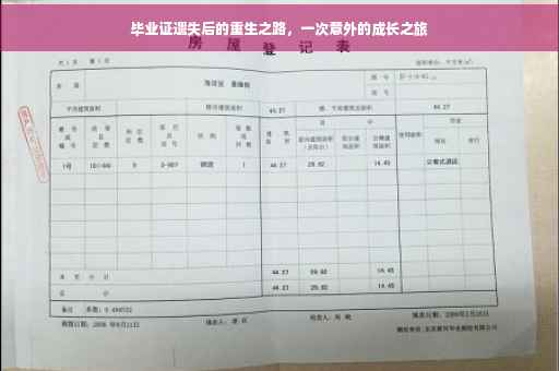 毕业证遗失后的重生之路，一次意外的成长之旅
