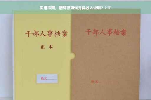 实用指南，刚辞职如何开具收入证明？?⚡️