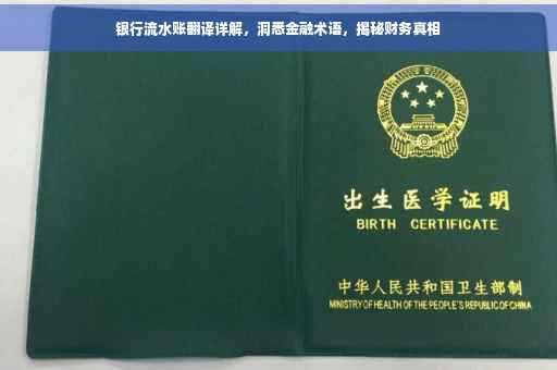 银行流水账翻译详解，洞悉金融术语，揭秘财务真相