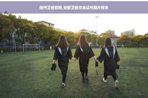宿州卫校官网,安徽卫校毕业证书图片样本
