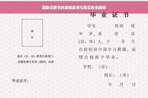 堕胎证明书的真相探寻与背后故事揭秘