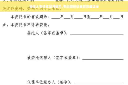 自修大专毕业证书图片,专科院校毕业有派遣证没