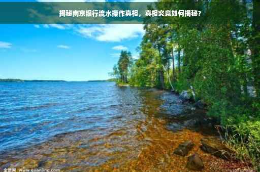 揭秘南京银行流水操作真相,真相究竟如何揭秘? 揭秘南京银行流水操作真相,真相究竟如何揭秘?