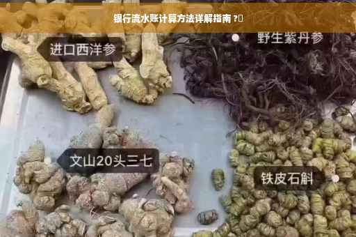 银行流水账计算方法详解指南 ?✨