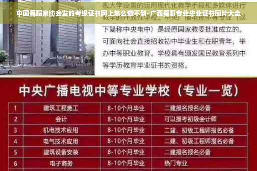 中国舞蹈家协会发的考级证书网上怎么查不到-广西舞蹈专业毕业证书图片大全