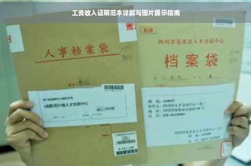 工资收入证明范本详解与图片展示指南