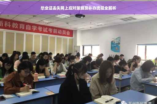 毕业证丢失网上应对策略及补办流程全解析
