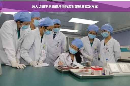 收入证明不足两倍月供的应对策略与解决方案