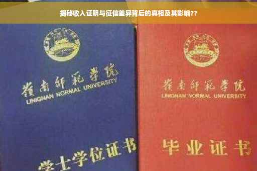 揭秘收入证明与征信差异背后的真相及其影响??