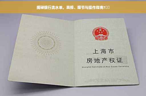 揭秘银行流水单，真相、细节与操作指南?⚡️