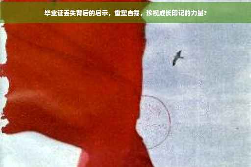 毕业证丢失背后的启示，重塑自我，珍视成长印记的力量?