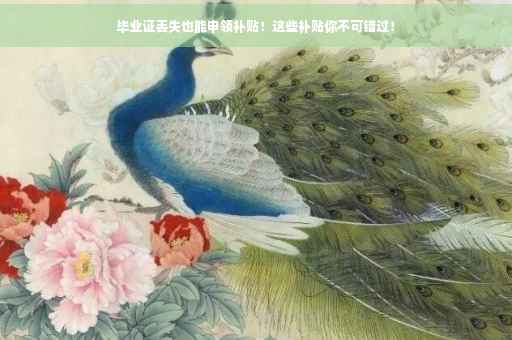 毕业证丢失也能申领补贴！这些补贴你不可错过！