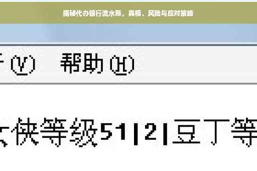 揭秘代办银行流水账，真相、风险与应对策略