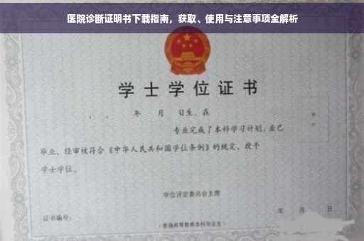 医院诊断证明书下载指南，获取、使用与注意事项全解析