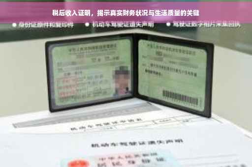 税后收入证明，揭示真实财务状况与生活质量的关键
