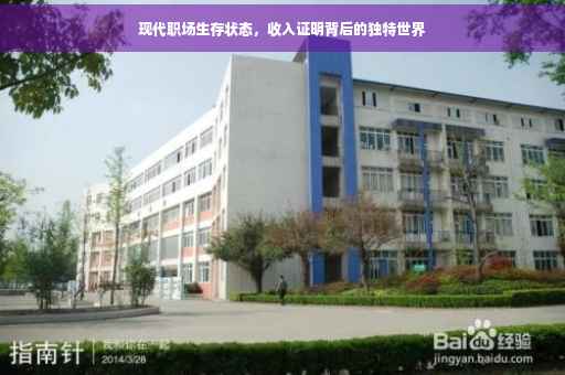 现代职场生存状态，收入证明背后的独特世界