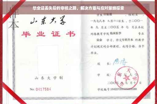 毕业证丢失后的审核之路，解决方案与应对策略探索