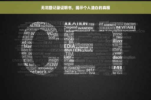 无范罪记录证明书，揭示个人清白的真相
