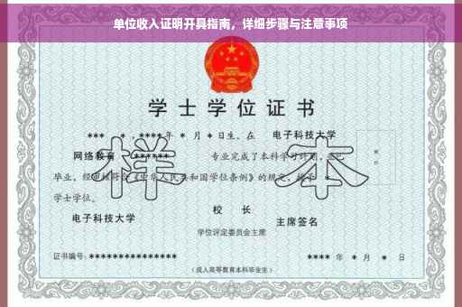 单位收入证明开具指南，详细步骤与注意事项
