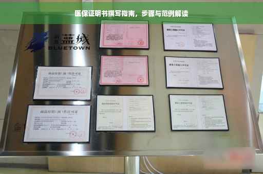 医保证明书撰写指南,步骤与范例解读 医保证明书撰写指南,步骤与范例解读