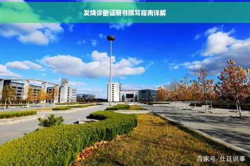 发烧诊断证明书撰写指南详解