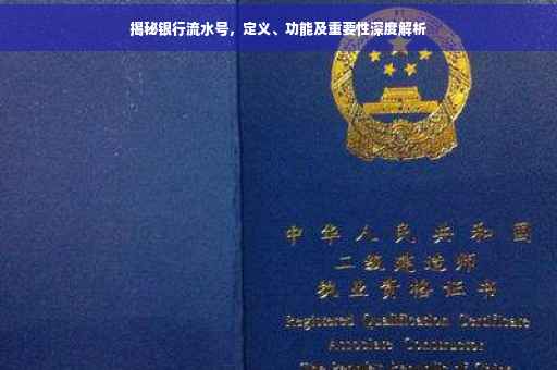 揭秘银行流水号，定义、功能及重要性深度解析