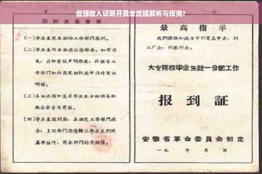 低保收入证明开具全流程解析与指南?