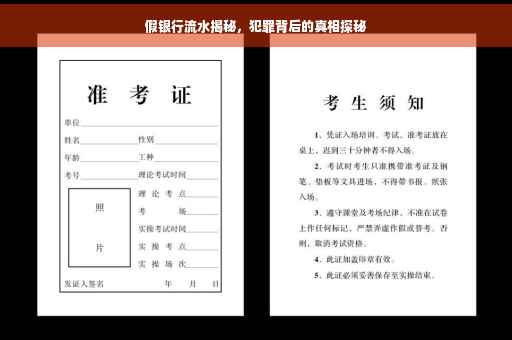 假银行流水揭秘，犯罪背后的真相探秘