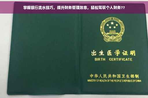 掌握银行流水技巧，提升财务管理效率，轻松驾驭个人财务??