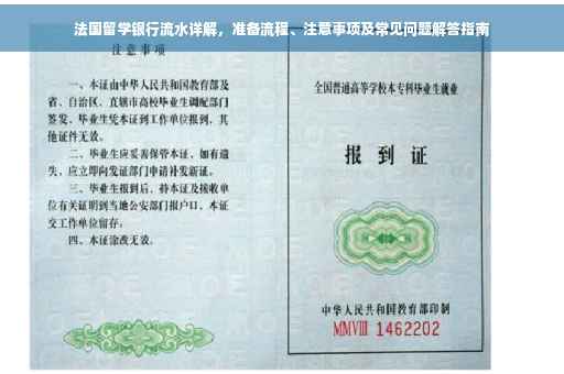 法国留学银行流水详解，准备流程、注意事项及常见问题解答指南